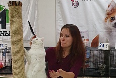 Ласкава приглашает