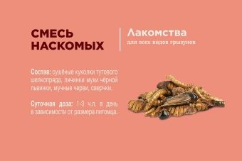 Little One  лакомство для всеядных грызунов 75г банка фото