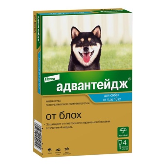 Адвантейдж (4пип*мл)  4-10кг капли на холку для собак фото, цены, купить