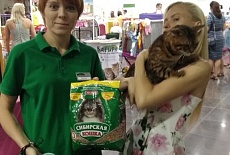 Выставка кошек в Торговом Центре ФМ в сентябре