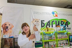 Фотоотчет с выставки кошек в г. Симферополе в декабре