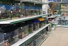 Открытие нового магазина здорового питания Багира в г. Евпатория