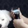 Машинка Moser Animal Clipper ARCO ProBlack (с аккумулятором)  фото, цены, купить