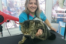Открытие нового груминг-салона в г. Симферополе