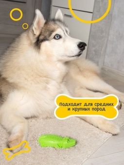 Крокодил FANCY фото, цены, купить