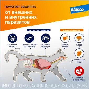 Адвокат для кошек ( 3пипетки) 1 пипетка до 4кг фото, цены, купить