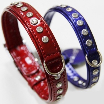 Ошейник Collar Brilliance 20мм 30-39см со стразами S Лаковый фото, цены, купить