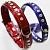 Ошейник Collar Brilliance 20мм 30-39см со стразами S Лаковый фото, цены, купить