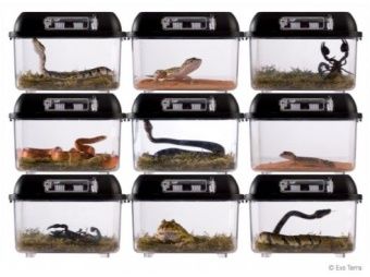 Контейнер для разведения Breeding Box малый 205-205-140мм фото, цены, купить