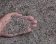 наполн.Сибирская Кошка "Super CARBON" 5л комкующийся фото, цены, купить
