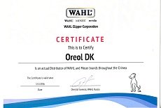 Wahl (Уолл)