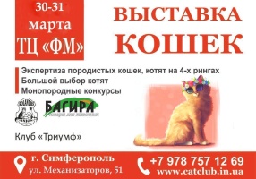 Выставка кошек в Торговом центре ФМ в марте