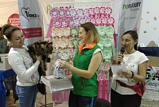 Фотоотчет с выставок сентября