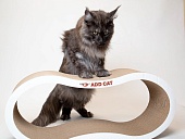 ADD CAT когтеточка картонная Enigma 67*23*25 для кошек