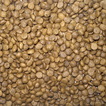 Счастливчик для кошек, мясное ассорти 400г  фото, цены, купить