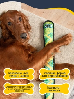 FANCY Игрушка для собак "Змейка" фото, цены, купить