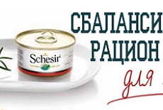 Schesir (Шезир)