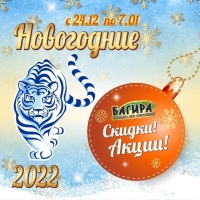 Новогодние акции в Багире 2022