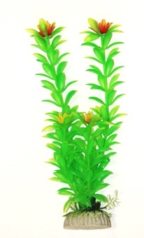 Ротала салатовая 20см фото, цены, купить