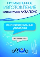 Изготовление аквариумов по вашим размерам