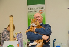 Фотоотчет с выставки кошек в г. Симферополе в марте 2020