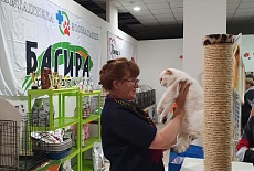 Ласкава приглашает