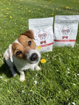 Best Dinner Sensible с ягненком и томатами при аллергии у собак мелких пород 1,5 кг фото, цены, купить