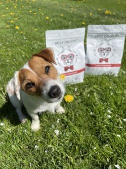 Best Dinner Sensible с ягненком и томатами при аллергии у собак мелких пород 1,5 кг фото, цены, купить