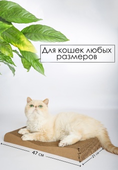 Когтеточка-лежанка "Зверьё Моё" Дюна 47*21*5см для кошек