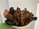 Лакомства AKARA BAR Уши говяжьи 500г фото Лакомства AKARA BAR Уши говяжьи 500г фото, цены, купить