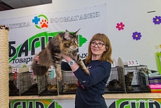 Выставка кошек в ТЦ FM г. Симферополь в июне