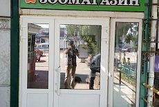 Открытие нового магазина здорового питания Багира в г. Симферополь