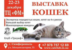 Выставка кошек в Торговом Центре ФМ в декабре