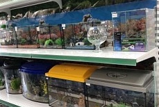 Открытие нового магазина здорового питания Багира в г. Евпатория