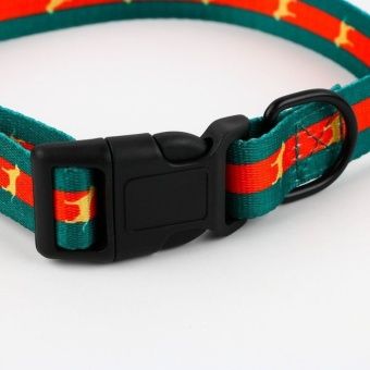Ошейник "На стиле", застёжка-фастекс 2,5*40-55см фото, цены, купить