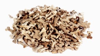 TiTBiT Снеки для дрессуры с кроликом д/всех пород 100 г фото, цены, купить