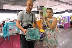 Выставка кошек в Севастополе