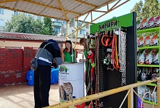 Фотоотчет с выставок сентября