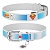 Ошейник Collar Waudog кожа "Супермен2" паспорт 20мм 29-38см фото, цены, купить