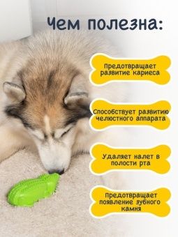 Крокодил FANCY фото, цены, купить