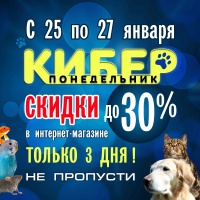 Киберпонедельник 2021 